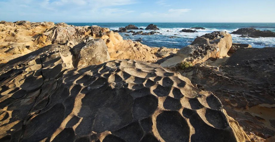 Salt Point State Park, California, USA